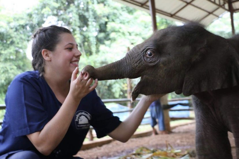 Take care of a baby elephant